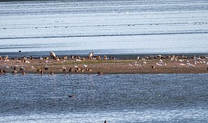 Peter Blei am Stausee Kelbra