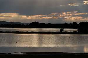 Peter Blei am Stausee Kelbra