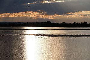 Peter Blei am Stausee Kelbra