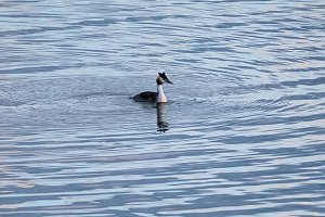 Peter Blei am Stausee Kelbra