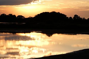 Peter Blei am Stausee Kelbra
