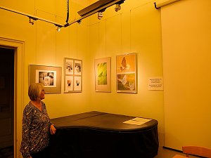 Der Fotoclub stellt im Thomas-Mann Club seine Lieblingsbilder aus
