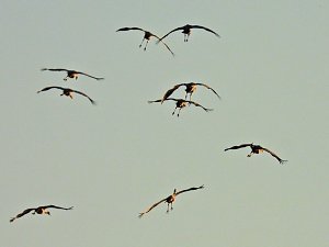 Peter Blei unterwegs am Stausee Kelbra