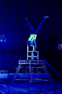 Circus Atlantik am Scheunenhof