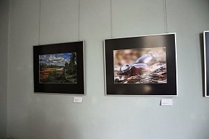 Landesfotoschau Th&uuml;ringen in Sondershausen zu Gast