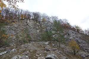 Landschaftspflegesaison im Südharz hat begonnen