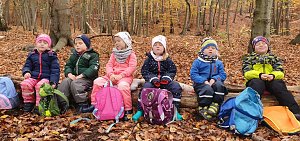 Kleine Spatzen erleben den Wald