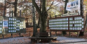 Tagesausflug zum Hexentanzplatz 