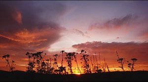 Sonnenaufgang bei Neustadt
