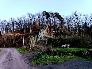 Nächtlicher Rundgang durch Neustadt