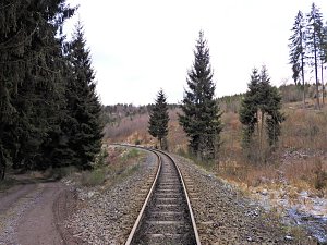 Am ersten Weihnachtsfeiertag in Sophienhof