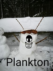 Wer baut den schönsten Schneemann? - der KILA-Aktionstag versucht jetzt digitale Wege zu gehen
