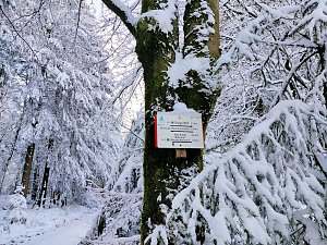 Peter Blei unterwegs in Benneckenstein