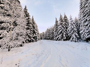 Peter Blei unterwegs in Benneckenstein