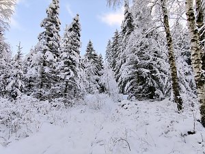 Peter Blei unterwegs in Benneckenstein