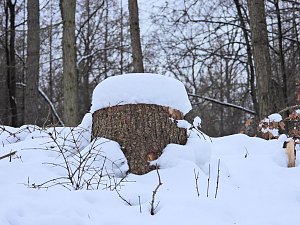 Peter Blei unterwegs bei Steigerthal