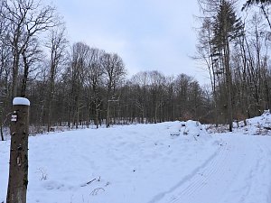 Peter Blei unterwegs bei Steigerthal