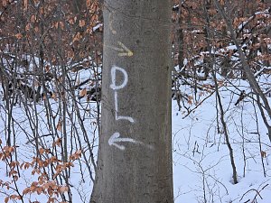 Peter Blei unterwegs bei Steigerthal