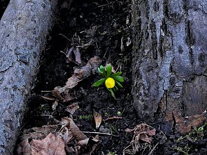 Impressionen im Park Hohenrode