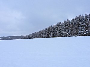 Peter Blei unterwegs im Schnee