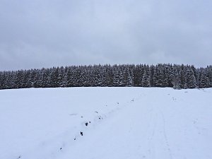 Peter Blei unterwegs im Schnee