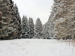Peter Blei unterwegs im Schnee