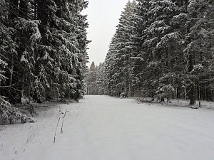 Peter Blei unterwegs im Schnee
