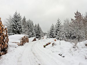 Peter Blei unterwegs im Schnee
