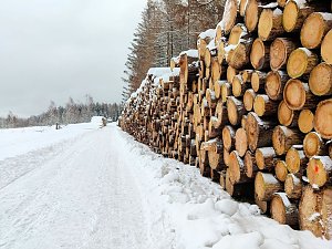 Peter Blei unterwegs im Schnee