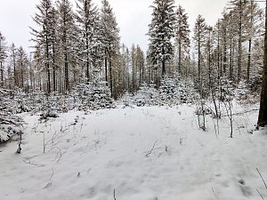 Peter Blei unterwegs im Schnee