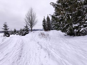 Peter Blei unterwegs im Schnee