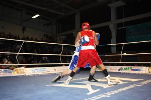 Dramatische Boxnach (1)