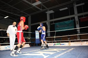 Dramatische Boxnach (1)