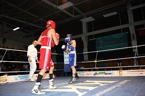 Dramatische Boxnach (1)