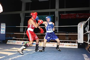 Dramatische Boxnach (1)