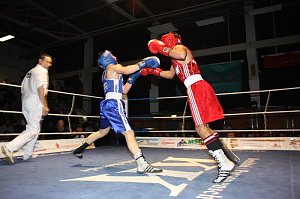 Dramatische Boxnach (1)