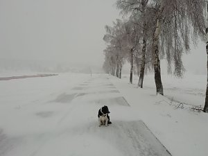 Winter in Sophienhof