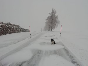 Winter in Sophienhof