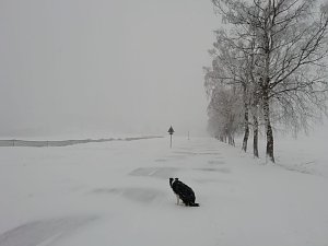 Winter in Sophienhof