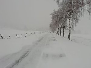 Winter in Sophienhof