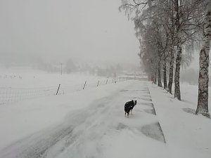 Winter in Sophienhof