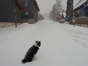 Winter in Sophienhof