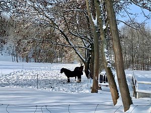 Winterspaziergang durch Nordhausen