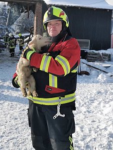 Rettung in der Not: in Lipprechterode konnten die freiwilligen Feuerwehren heute rund 350 Schafe bergen