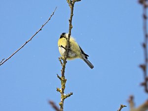Peter Blei unterwegs in der Windl&uuml;cke