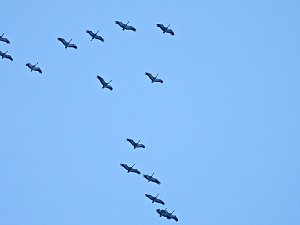 Peter Blei unterwegs in der Windl&uuml;cke