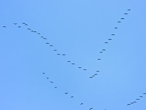 Peter Blei unterwegs in der Windl&uuml;cke