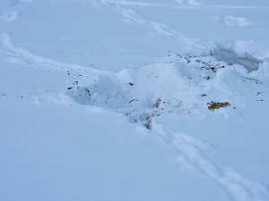 Peter Blei unterwegs in der Windl&uuml;cke