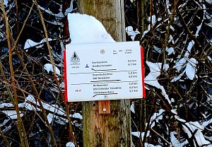 Im Brandesbachtal