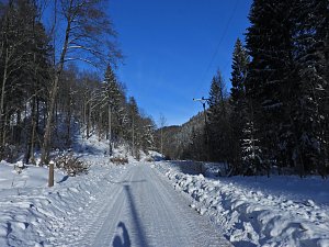 Im Brandesbachtal